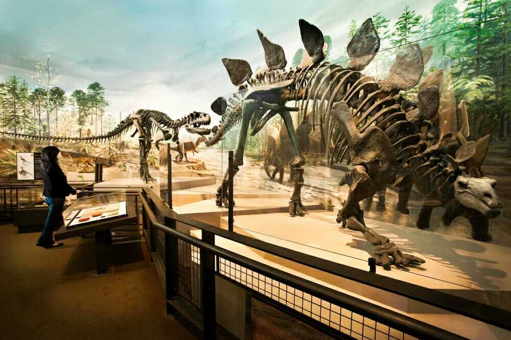 seattle area museums seattle area museums