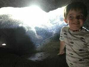 woodland park zoo woodland park zoo
