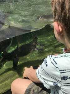 woodland park zoo woodland park zoo