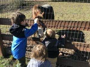 kelsey creek farm kelsey creek farm