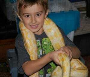 Member Discount Alert: Amazing Balloon Arrangements for All Occasions! 5 Anthony Snake
