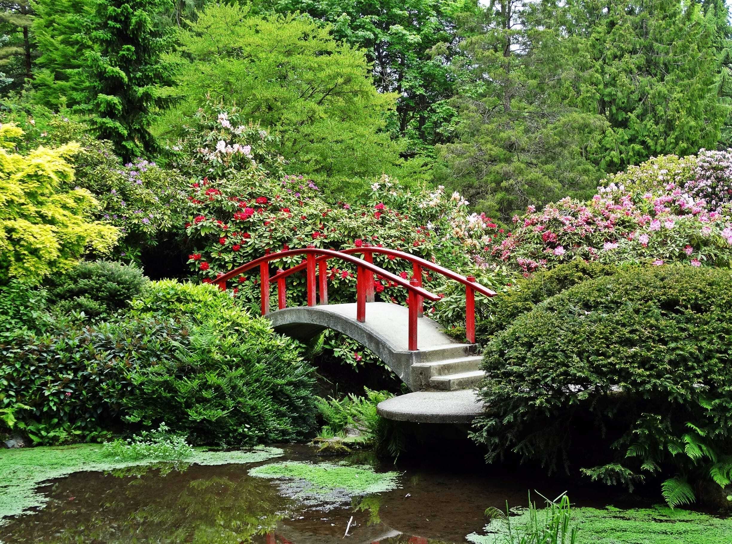 My Secret "Socially Distanced Outings" Around Seattle: Kubota Garden 1 Kubota Garden Cover