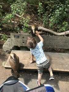 woodland park zoo woodland park zoo