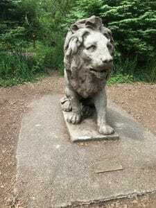 woodland park zoo woodland park zoo
