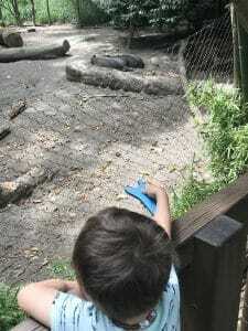 woodland park zoo woodland park zoo